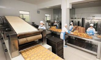 西安食品廠凈化車間規(guī)范要求與軟件開發(fā)前的潔凈車間設計關鍵點